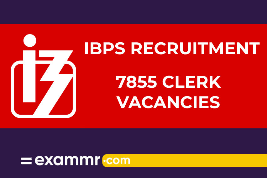 IBPS Recruitment: 7855 Clerk Vacancies