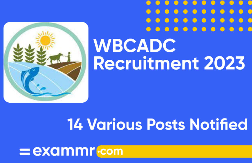 WBCADC Recruitment 2023: Notification Out for Stenographer, Driver, Support Staff and Other Posts